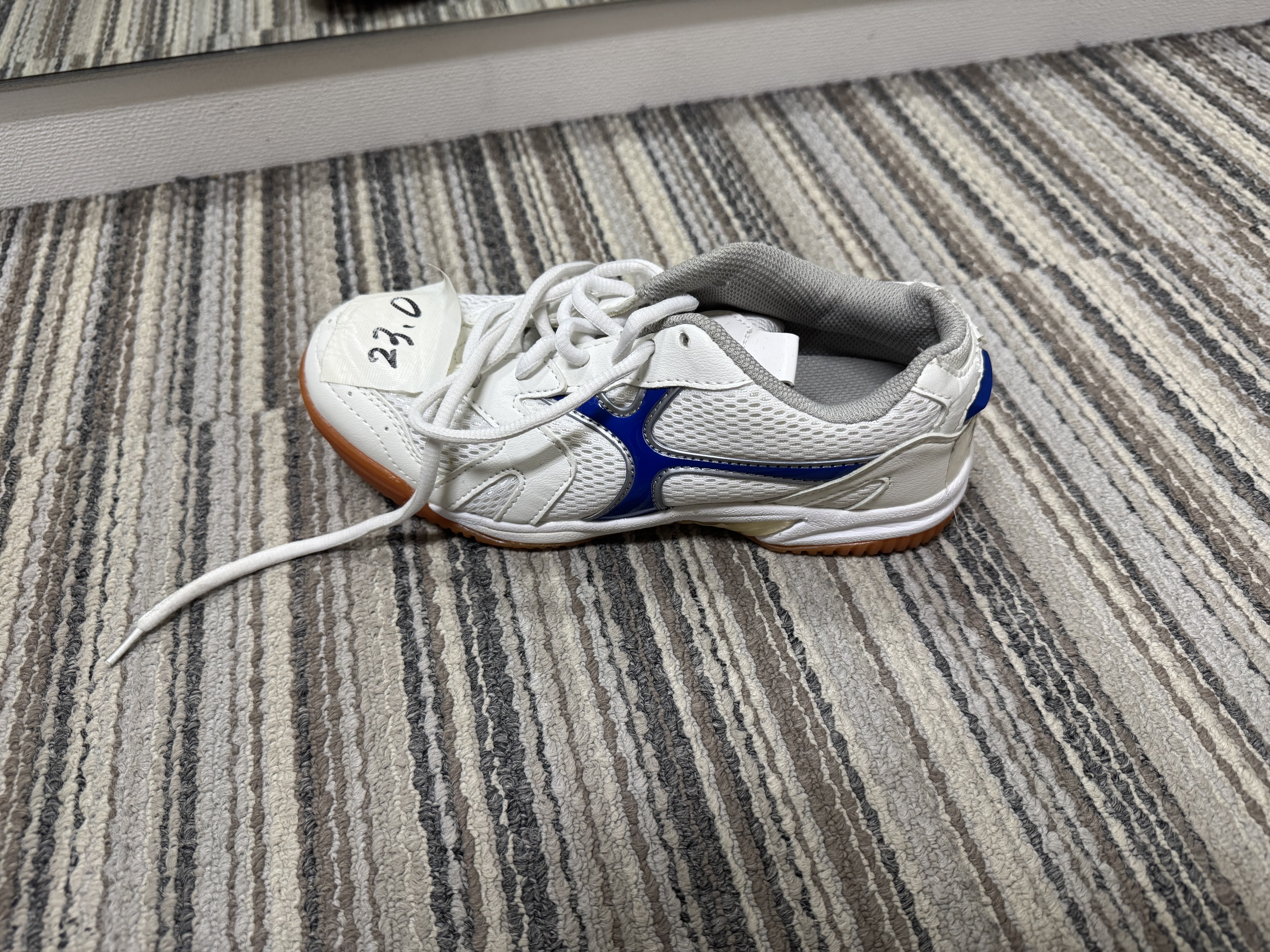 体育館シューズ